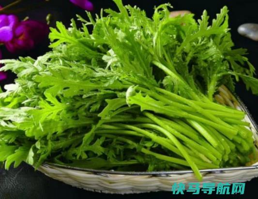 茼蒿炒好要放冰箱？茼蒿手术后可以吃吗？